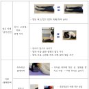 소매틱 요가 프로그램 구성 이미지