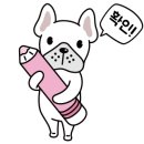 뽀송강아지 이미지
