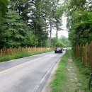 광릉수목원로 이미지