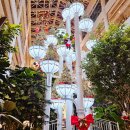 농서로L 이미지