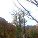 양평친환경농업박물관 이미지