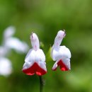 외포항2 이미지