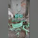 신기한 비누 만드는 모습 이미지