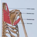 문화연세의원 이미지