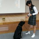 삼우중학교 이미지