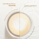 렌즈미 시흥점 이미지