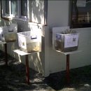 군자초교 이미지