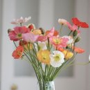 오일파스텔 드로잉 이미지