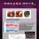 중소기업진흥원