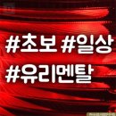 대성자동차유리 이미지