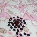 행복한재가센터 이미지