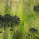 머물고싶은곳 이미지