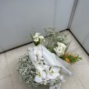 W05. 비마이스튜디오 웨딩 촬영 후기 (추천과 비추천사이,,)