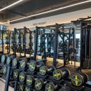 바이탈짐 이미지