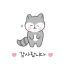 요요스플레이트 이미지