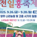 나리신발 네이버블로그