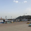 김서방 대게민박 티스토리