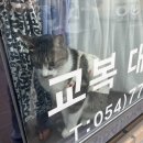 도도보노펜션