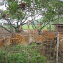 하산 농장 이미지