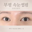 더벤티부평미주점 | 부평 속눈썹펌 로바니뷰티 가닥속눈썹펌 후기