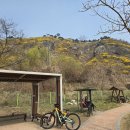 한고을식당 이미지