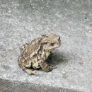 월심이네 이미지