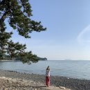 나로힐링캠핑장 이미지