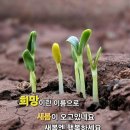 도운님 이미지