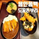도꼬돈부리 용인 동백 맛집 돈까스 카츠에비동, 카레, 우동 가족외식 다녀왔어요