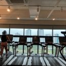 블리스피트니스 이미지