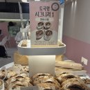 토곡팡 네이버블로그