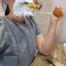 몬스터 줄넘기 | [맛집] 경기 광주 돈까스 &#39;더몬스터돈까스&#39;에서 남산의 정기를 느끼고 온 후기