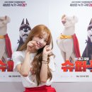 미주슈퍼 이미지