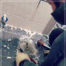 경동화학 이미지