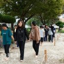 송라중학교 이미지