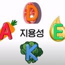 비타민 북