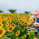 이광희농장 이미지