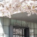 스테이라네 이미지