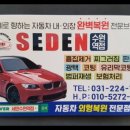 외형복원세덴
