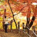 국화물산