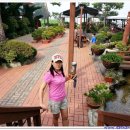 강화 호수의 집 이미지