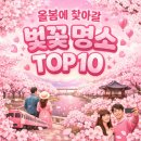 124.부영5단지사거리_5 | 🌸 2026년 전국 벚꽃 명소 TOP 10: 인생샷을 부르는 최고의 꽃길 가이드 l 데이트 여행지