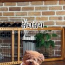 위디위키 이미지