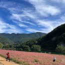 삼옥2리마을회관 이미지