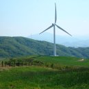 초원목장1 이미지