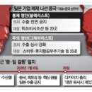 성안여행사