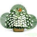 삼육사로22 이미지