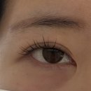 제니속눈썹 - 계양구 | 광주 산수동 제니래쉬 속눈썹펌 후기