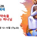 2024.7.28.주일낮예배(창 18:12~15, 새가족정착설교(6) 반드시 약속을 지키시는 하나님) 이미지