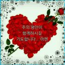 코람데오 이미지